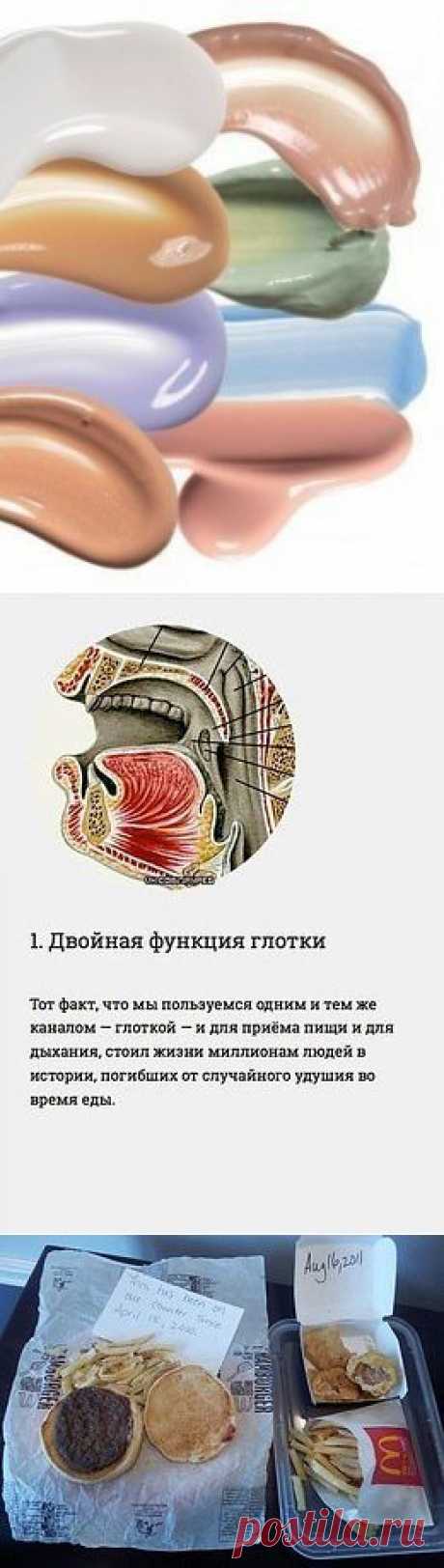 Базы под макияж. Сохраняем на стену, чтобы не потерять! Белый — подсвечивает и освежает. Желтый — ...