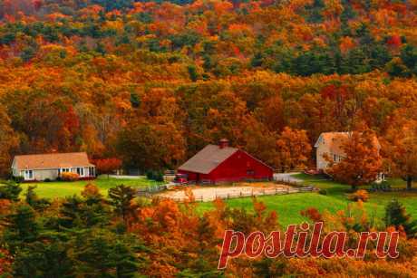 ***ЗЛАТОКУДРАЯ КРАСАВИЦА-ОСЕНЬ-5***