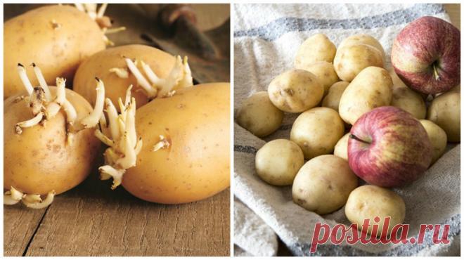 Об этих хитростях мечтает узнать каждая хозяйка!