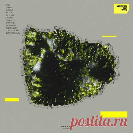 VA - Xpressed ADE 2025 XPR124 FLAC » MinimalFreaks.co