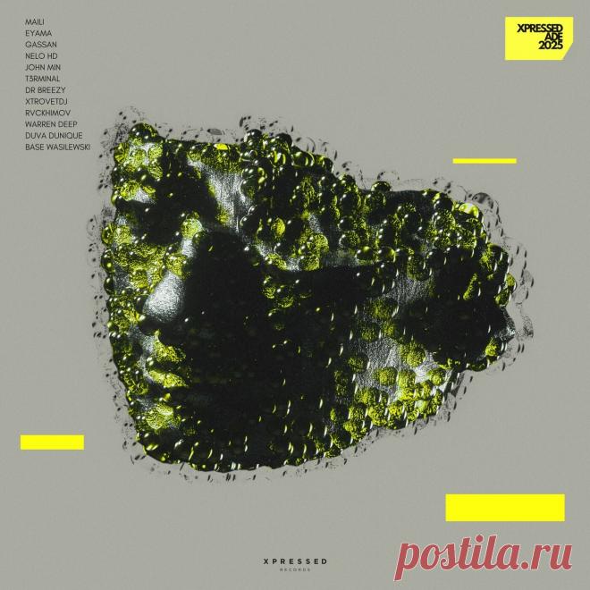 VA - Xpressed ADE 2025 XPR124 FLAC » MinimalFreaks.co