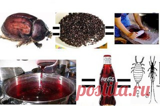 ШОК!!! Читать всем!!! 

В 2006 году в Турции впервые в мире против Coca-Cola начали судебное разбирательство по поводу состава напитка. На этикетке обычно пишут, что в Кока-колу входит сахар, фосфорная кислота, кофеин, карамель, углекислота и некий «экстракт». Этот экстракт и вызвал подозрение. И компания Coca-Cola была вынуждена раскрыть секрет, из чего же на самом деле делают колу. Это оказалась жидкость, полученная из насекомого Cochineal (Кошени́ль)!!!
Кошени́ль - это ...