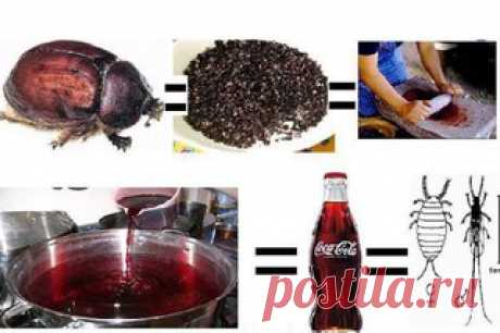ШОК!!! Читать всем!!! 

В 2006 году в Турции впервые в мире против Coca-Cola начали судебное разбирательство по поводу состава напитка. На этикетке обычно пишут, что в Кока-колу входит сахар, фосфорная кислота, кофеин, карамель, углекислота и некий «экстракт». Этот экстракт и вызвал подозрение. И компания Coca-Cola была вынуждена раскрыть секрет, из чего же на самом деле делают колу. Это оказалась жидкость, полученная из насекомого Cochineal (Кошени́ль)!!!
Кошени́ль - это ...