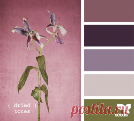 Цветы, деревья — источник вдохновения! | BepHuK собирает друзей