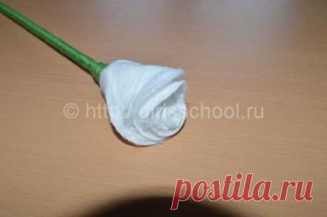 Поделки из ватных дисков РОЗЫ | Женская школа