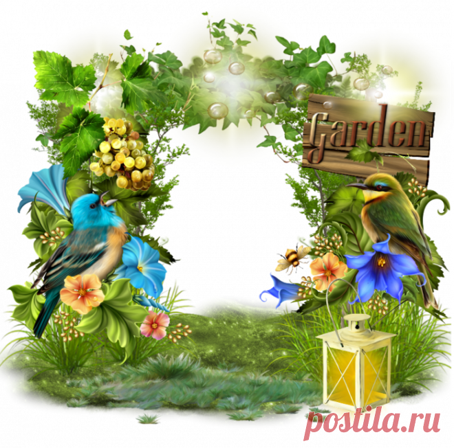 Дневник abcd21(Oksana)