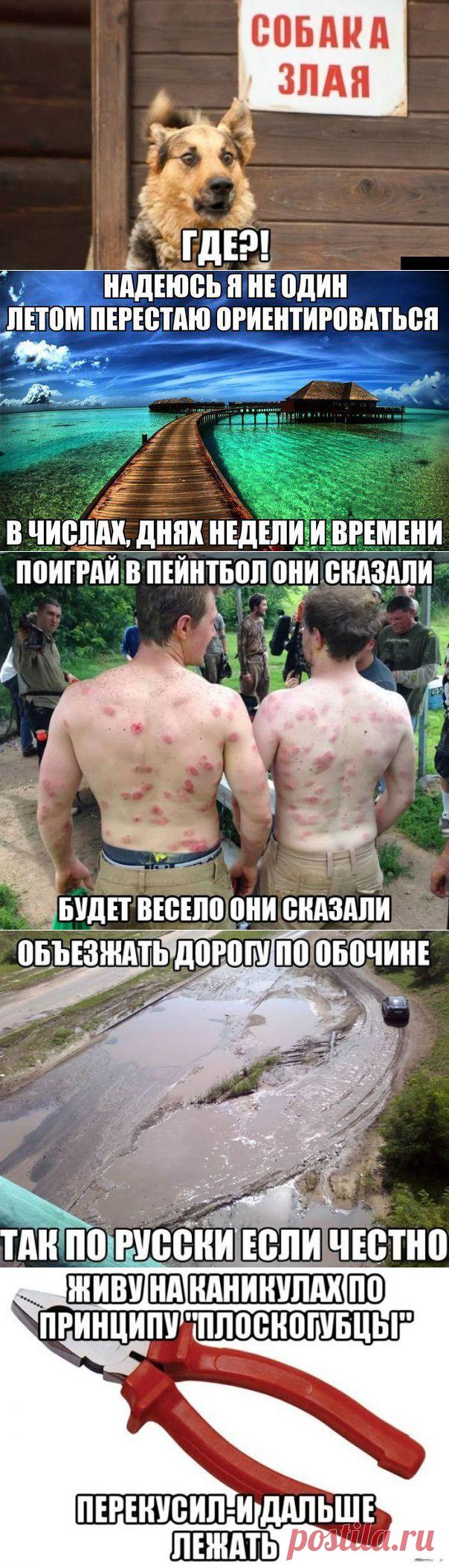 (+1) - Картинки с подписями | ПРИКОЛЫ