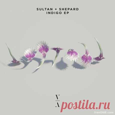 SULTAN + SHEPARD — INDIGO EP [TNH109E] - 11 December 2021 - EDM TITAN TORRENT UK ONLY BEST MP3 FOR FREE IN 320Kbps (Скачать Музыку бесплатно).