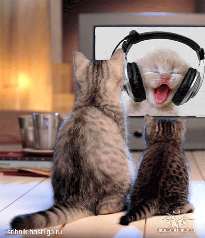 ЖИВЫЕ ФОТОГРАФИИ. AMAZING GIF – Google+