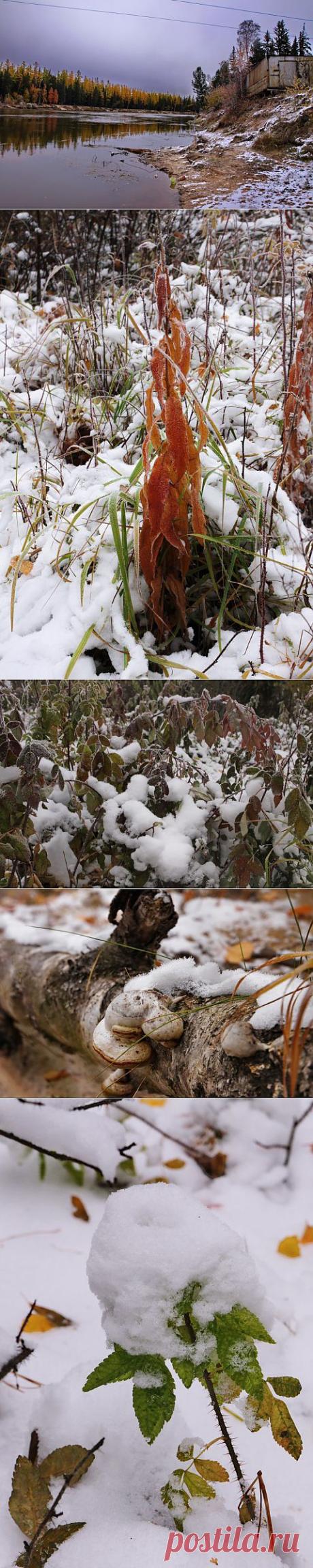 (+1) тема - Лето кончилось внезапно. 26 сентября, берег реки Вынгапур, в 40-ка км от пос. Ханымей (ЯНАО) | Фотоискусство