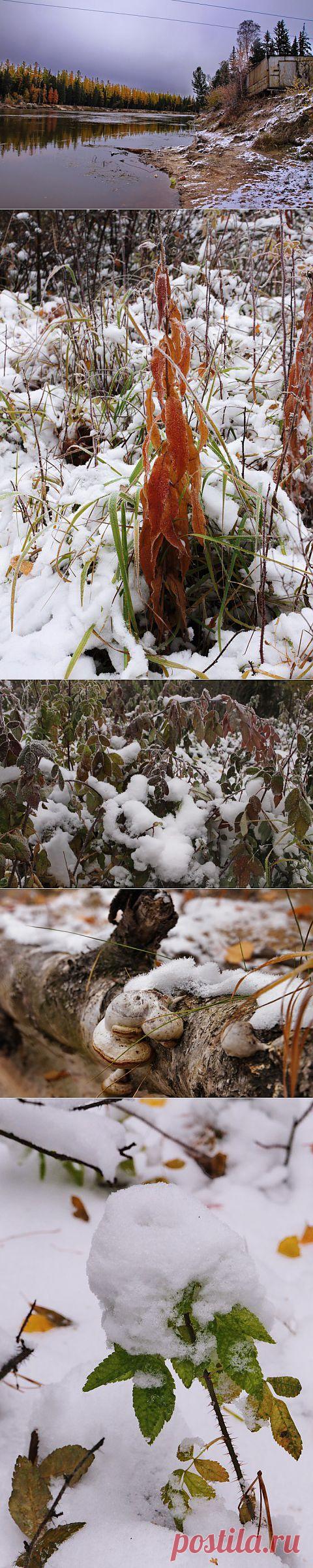 (+1) тема - Лето кончилось внезапно. 26 сентября, берег реки Вынгапур, в 40-ка км от пос. Ханымей (ЯНАО) | Фотоискусство