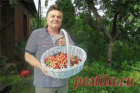 Дачные советы от Андрея Туманова