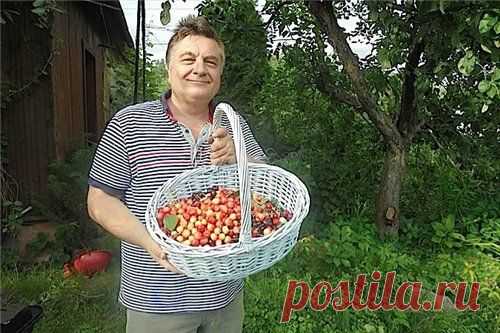 Дачные советы от Андрея Туманова