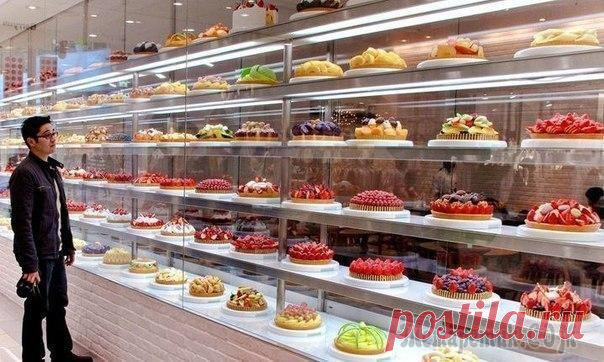 Рецепты тортов на Новый Год и Рождество 2017 - ТОП-6 праздничных рецептов