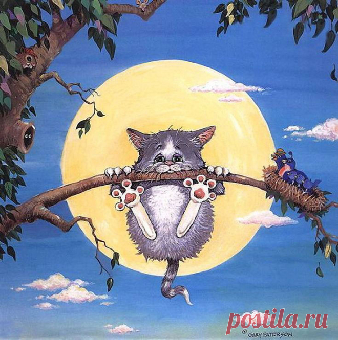 Гэри Паттерсон и его кошки