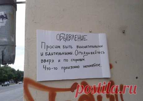 Народные перлы. вот умора! / Писец - приколы интернета
