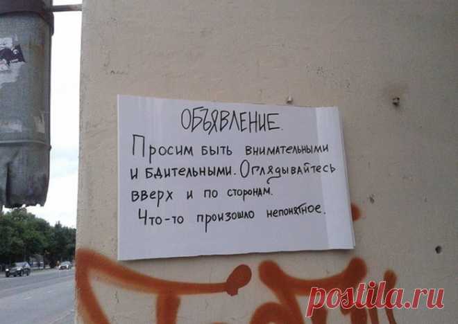 Народные перлы. вот умора! / Писец - приколы интернета