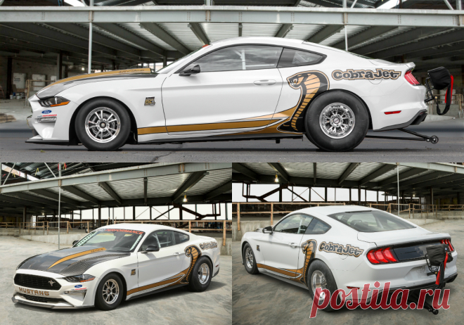 2018-Ford-Mustang-Cobra-Jet-is-fastest-Mustang-dragster-ever-pic2.jpg (1200×840)