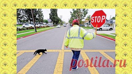 Про полицию, чёрную кошку и знаки судьбы или почему я не верю в приметы
На днях произошла забавная ситуация, которая стала поводом для написания данной статьи. Тем более, что тема прочтения знаков свыше периодически возникает у моих читателей. Выскажу своё мнение по этому поводу, но начну с рассказа о произошедшем. Еду на машине по прямой дороге, навстречу — служебный автомобиль...
Читай дальше на сайте. Жми подробнее ➡