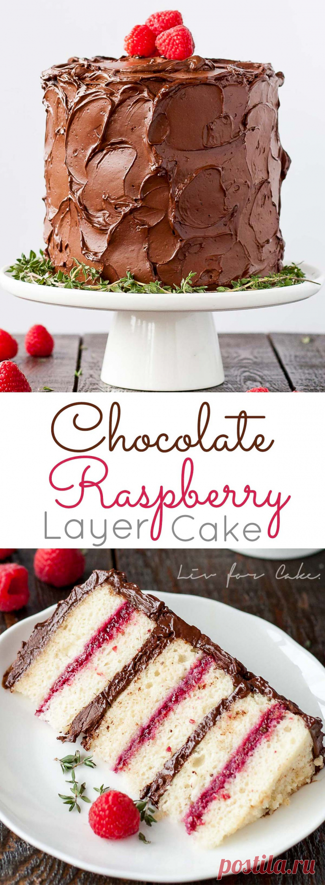 Chocolate Raspberry Cake - Liv for Cake