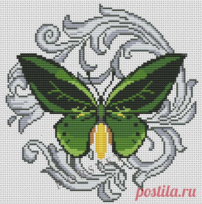 Gallery.ru / Green Birdwing - Бабочки - Norsvet