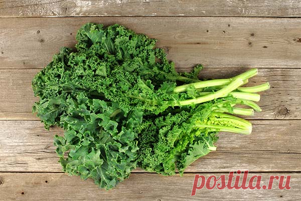 Капуста кале: что это такое, польза и вред, рецепты приготовления