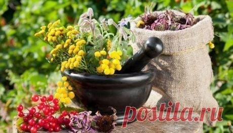 Отвар трав для укрепления сосудов от Сибирских Ведунов.
Отвар на основе сочетания целебных трав поможет вам укрепить сосуды, особенно это актуально для страдающих сахарным диабетом и вегетососудистой дистонией, а также всем тем, кого мучают головные боли от перенапряжения и стресса. Целебный травяной отвар – уникальный рецепт: Необходимо смешать в равных пропорциях пустырник, зверобой, корни...
Читай пост далее на сайте. Жми ⏫ссылку выше