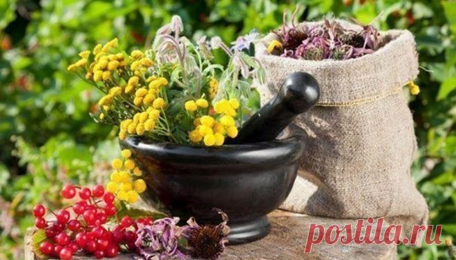 Отвар трав для укрепления сосудов от Сибирских Ведунов.
Отвар на основе сочетания целебных трав поможет вам укрепить сосуды, особенно это актуально для страдающих сахарным диабетом и вегетососудистой дистонией, а также всем тем, кого мучают головные боли от перенапряжения и стресса. Целебный травяной отвар – уникальный рецепт: Необходимо смешать в равных пропорциях пустырник, зверобой, корни...
Читай пост далее на сайте. Жми ⏫ссылку выше