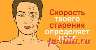 Замедлители старения: старость начинается от сигнала мозга! Важно поддерживать психологический возраст. До 44 лет — это молодость.