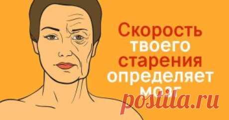 Замедлители старения: старость начинается от сигнала мозга! Важно поддерживать психологический возраст. До 44 лет — это молодость.