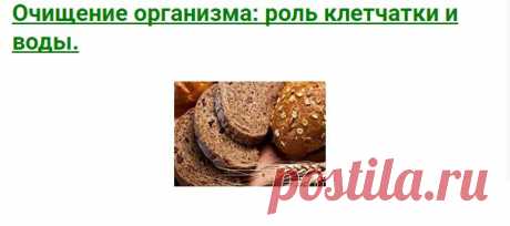 Очищение организма: роль клетчатки и воды.