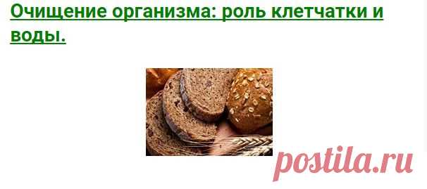 Очищение организма: роль клетчатки и воды.