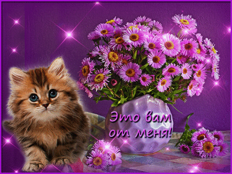 музыкальная  https://gifq.ru/eto-vam-ot-menya/