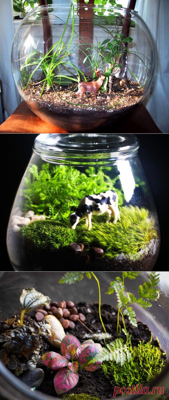 Как сделать террариум своими руками | Наш уютный дом
