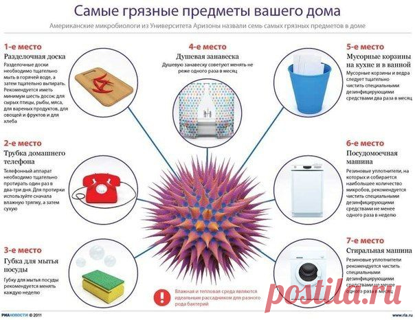 ВАЖНО! Самые грязные места и предметы в доме!