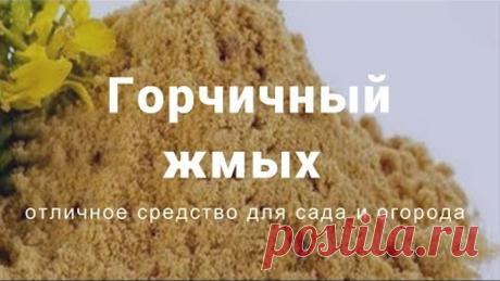 Горчичный жмых является великолепным органическим удобрением