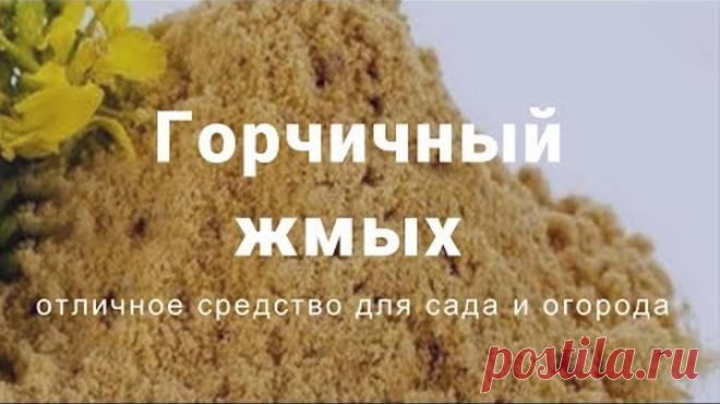 Горчичный жмых является великолепным органическим удобрением