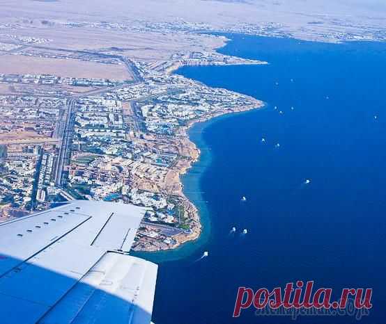 Записки Лягушки-путешественницы. Шарм-эль-Шейх, Melia Sinai. Часть первая.