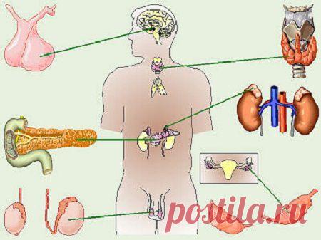 Здоровье | Записи в рубрике Здоровье | Дневник Rita Koci