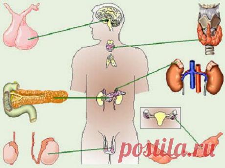 Здоровье | Записи в рубрике Здоровье | Дневник Rita Koci