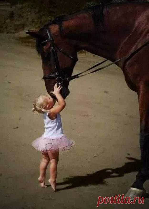 (57) Одноклассники