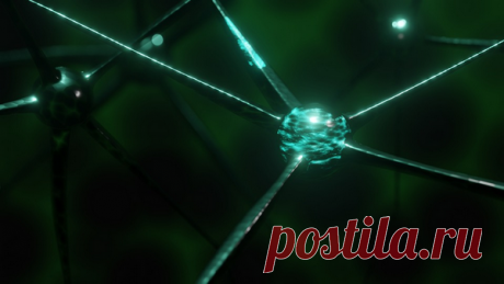 Если по ощущениям ваш разум похож на решето и вы не в состоянии что-то удержать в памяти, Дойдж рекомендует продолжать попытки — более глубокое понимание придет позже. Он считает, что «тугодумы», кажущиеся слишком медлительными, могут усваивать что-либо лучше «торопыг», которые учатся галопом по Европам и не обязательно сохраняют полученные знания без постоянного повторения.