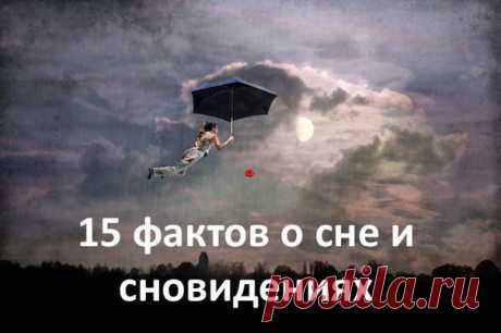 Во время сна мы парализованы