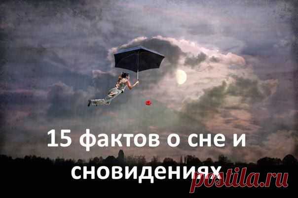 Во время сна мы парализованы