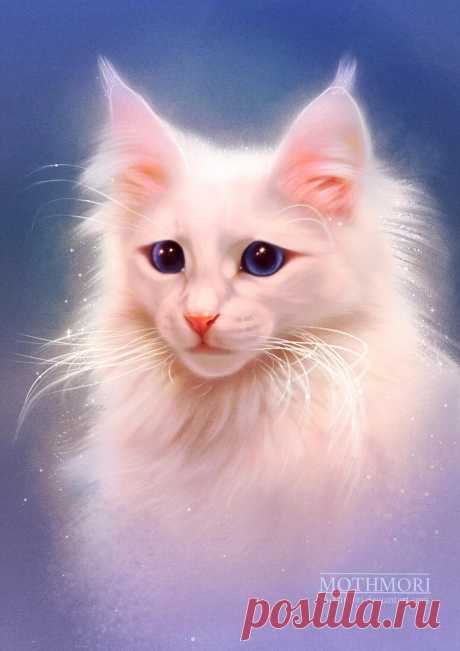 Sad Cat by mothmori on DeviantArt