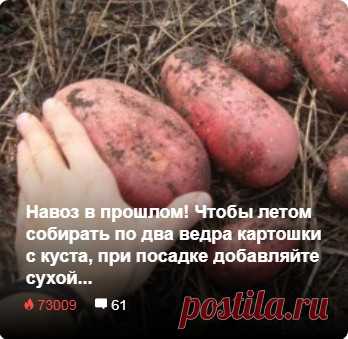 Навоз в прошлом! Чтобы летом собирать по два ведра картошки с куста, при посадке добавляйте сухой... садовый декор