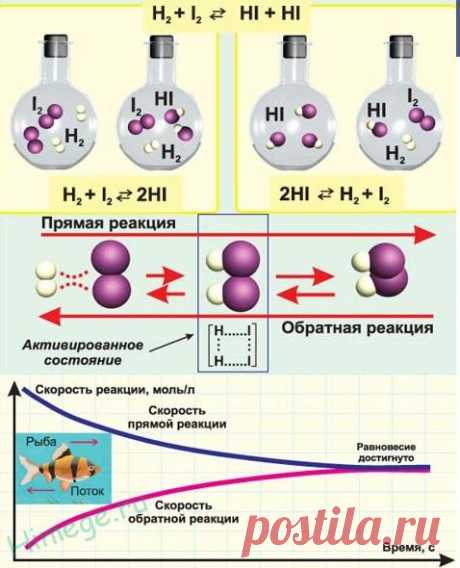 Результаты поиска смещение химического равновесия » HimEge.ru