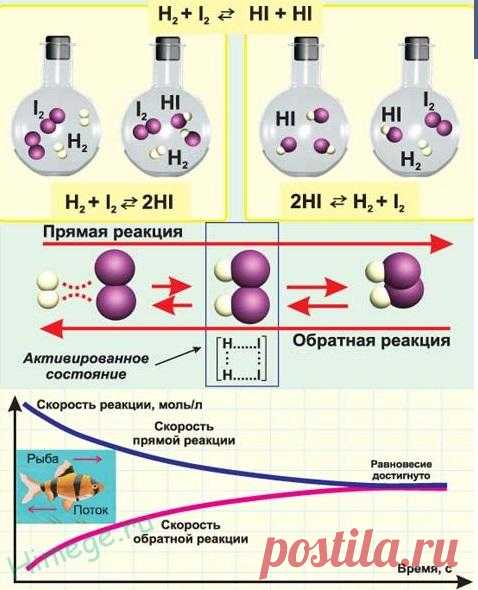 Результаты поиска смещение химического равновесия » HimEge.ru