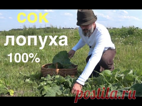 НАРВАЛ ЛОПУХ РЕЦЕПТ СНАДОБЬЯ от ВСЕХ БОЛЕЗНЕЙ