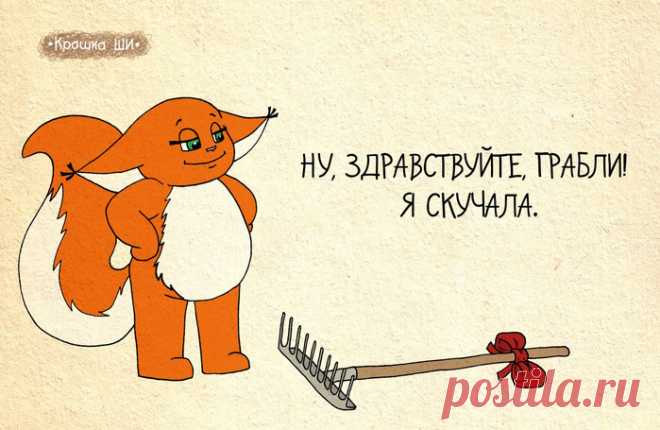 20 комиксов о крошке Ши, самой оптимистичной белке в мире